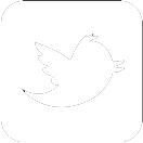 Twitter ico
